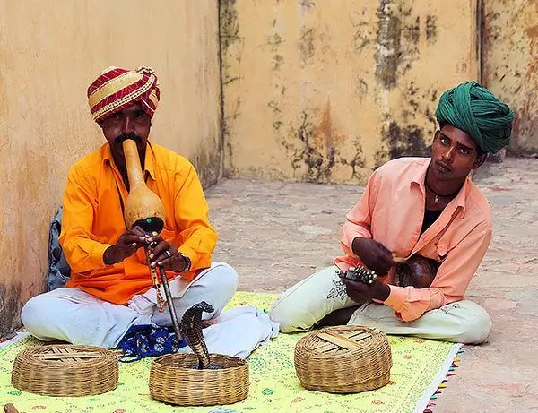 Slangetæmmer i Jaipur