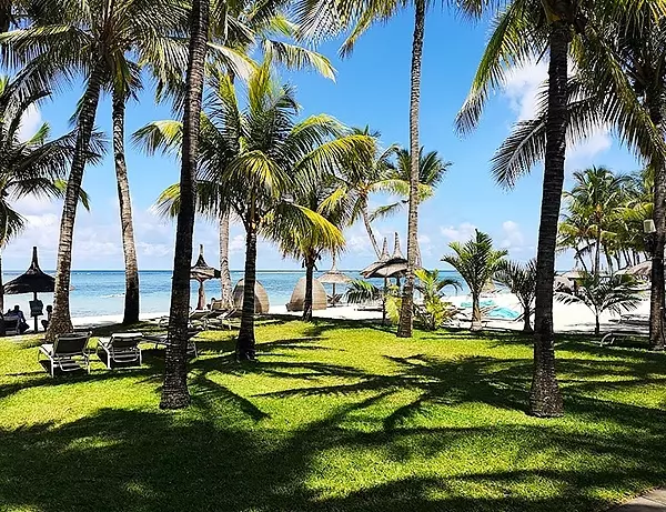 Masser af palmetræer og områder at hvile sig på