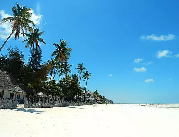 Lækker hvid sandstrand med palmer