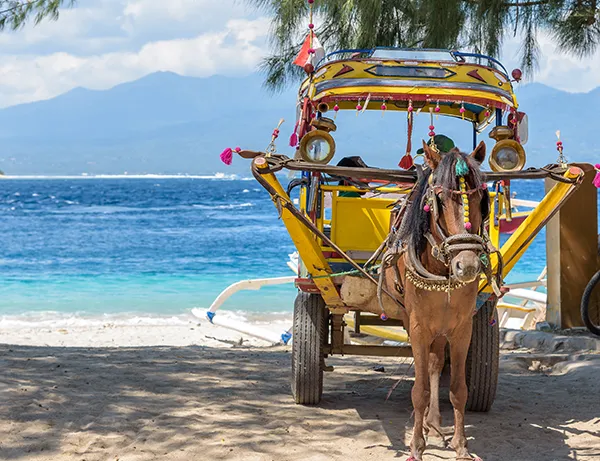 foto från bali, en hästdragen vagn på en strand nära havet